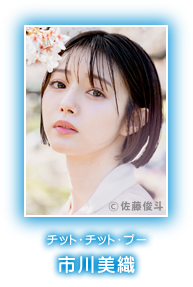 チット・チット・プー　市川美織