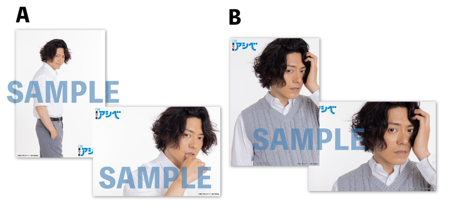 個別ブロマイド