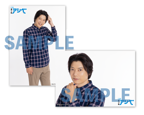 個別ブロマイド